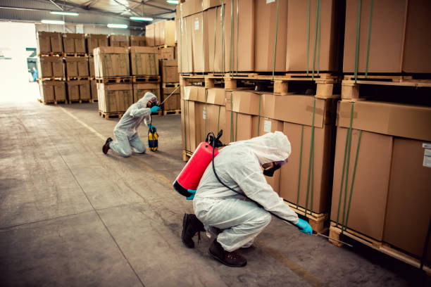 Best Pest Control Treatment  in Bethel, OH
