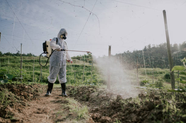 Best Mosquito Control Services  in Bethel, OH
