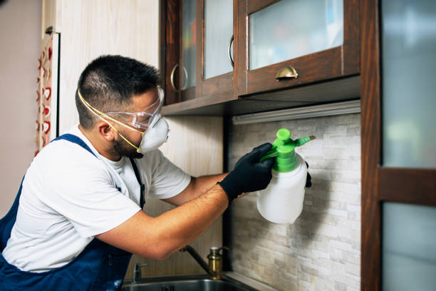 Best Pest Control for Restaurants  in Bethel, OH