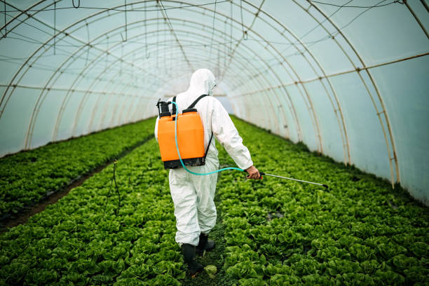 Best Pest Control Near Me  in Bethel, OH