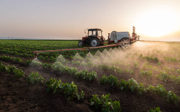Best Pest Prevention Services  in Bethel, OH