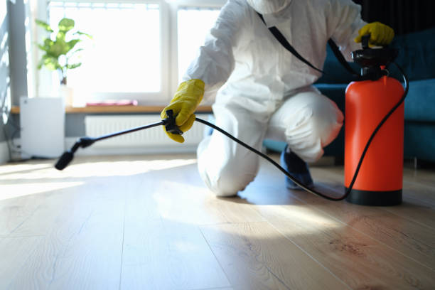 Flea Control Services in Bethel, OH