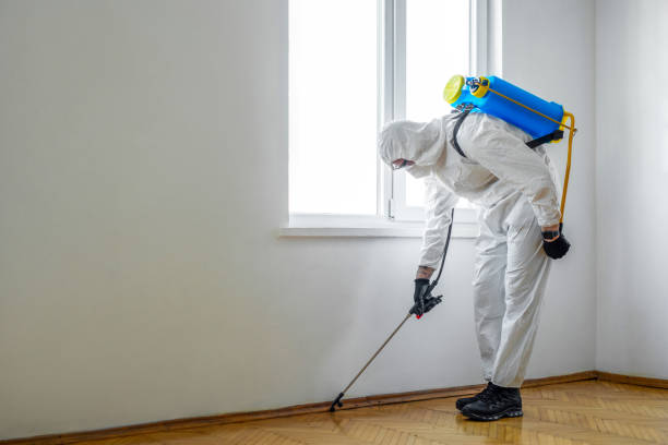 Best Rat Extermination Near Me  in Bethel, OH